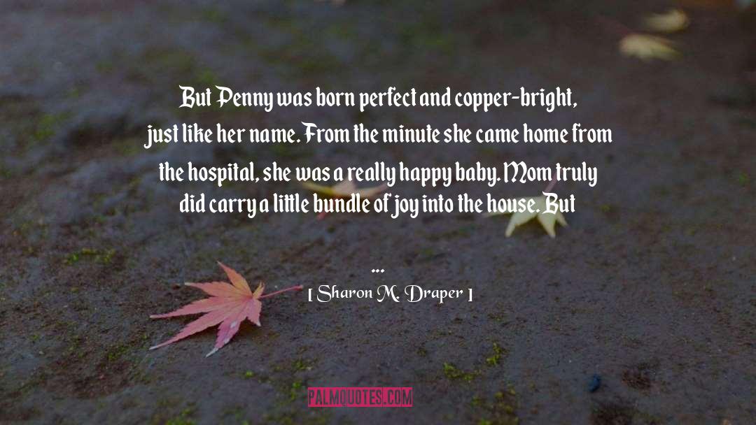 Copper quotes by Sharon M. Draper