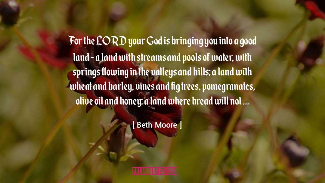 Copper quotes by Beth Moore