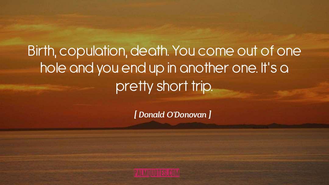 Copulation quotes by Donald O'Donovan