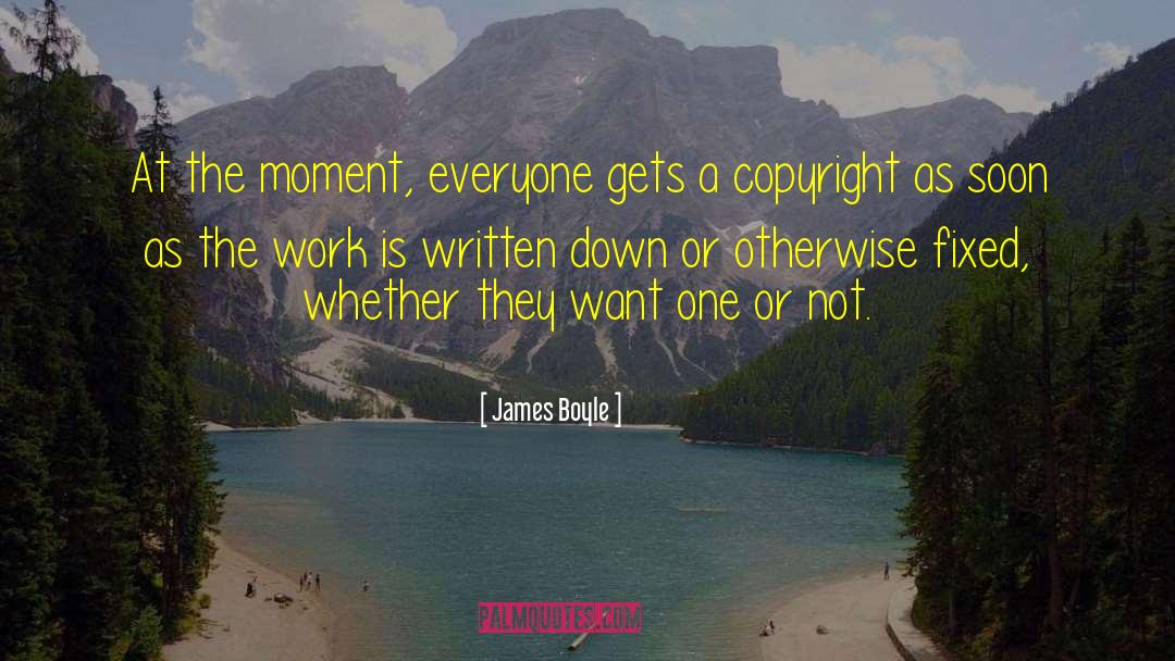 Copyright quotes by James Boyle