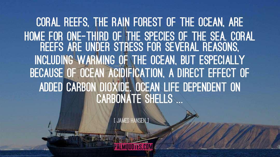 Coral quotes by James Hansen