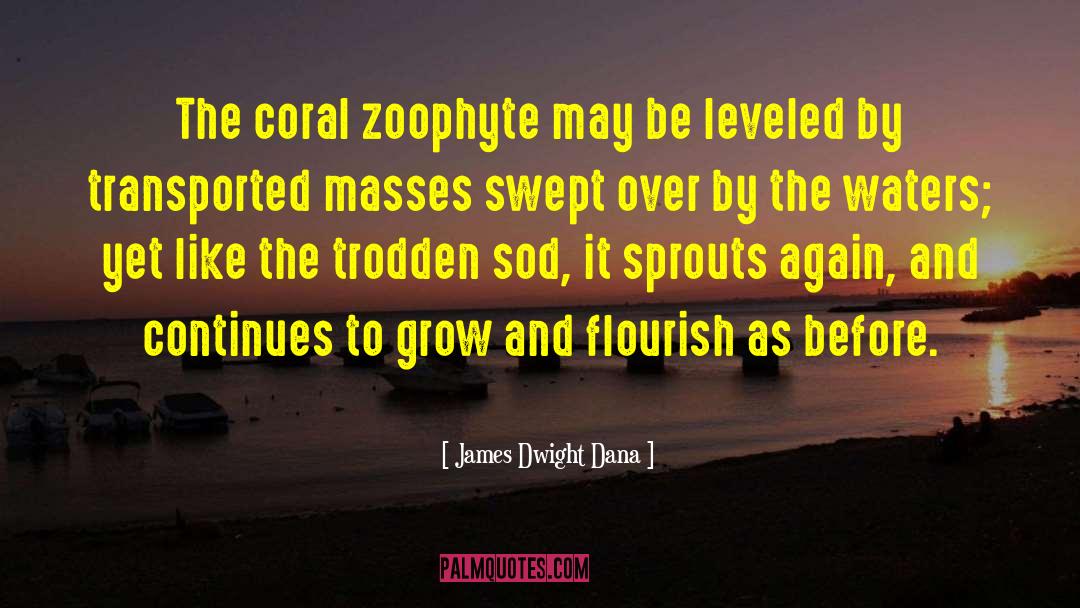 Coral quotes by James Dwight Dana