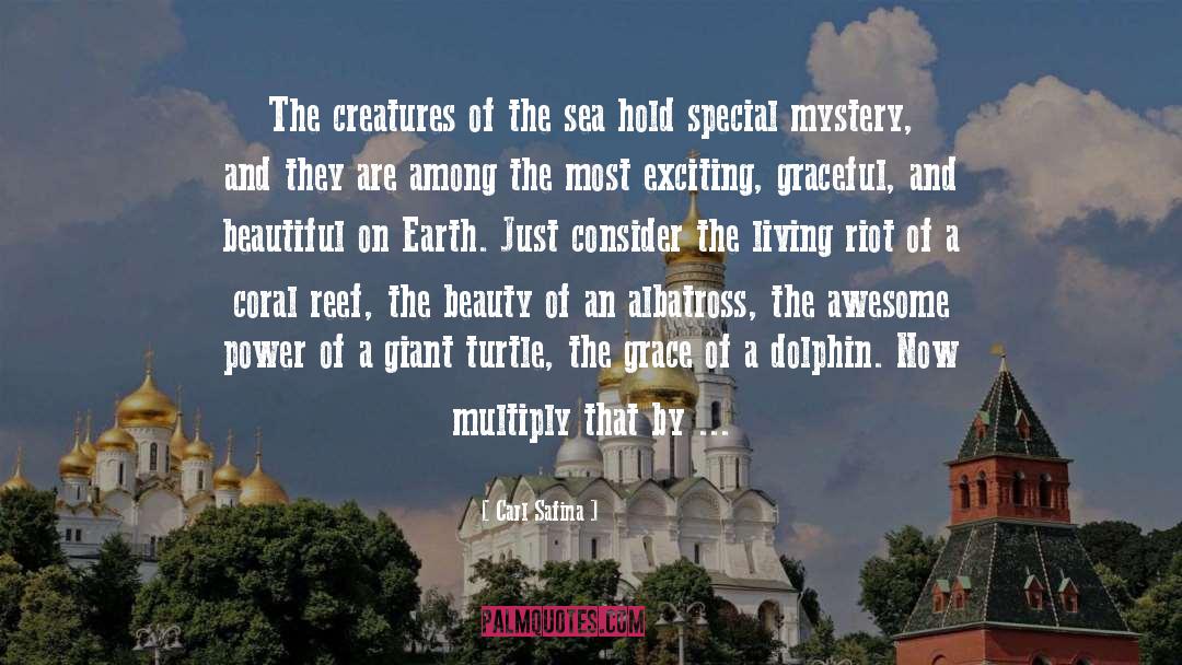 Coral Reef Quote quotes by Carl Safina