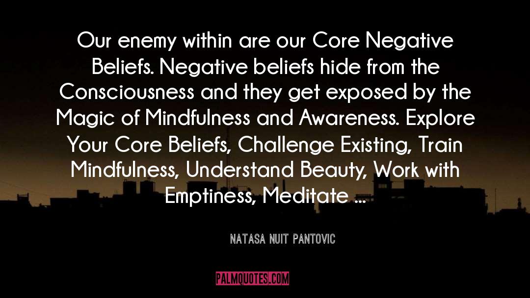 Core Beliefs quotes by Natasa Nuit Pantovic