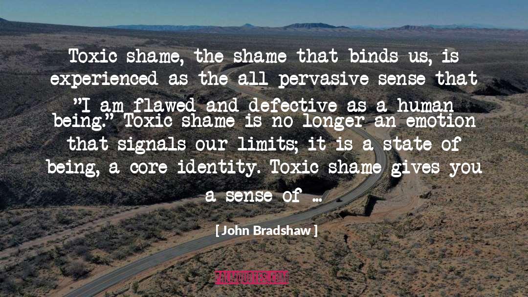 Core Identity quotes by John Bradshaw