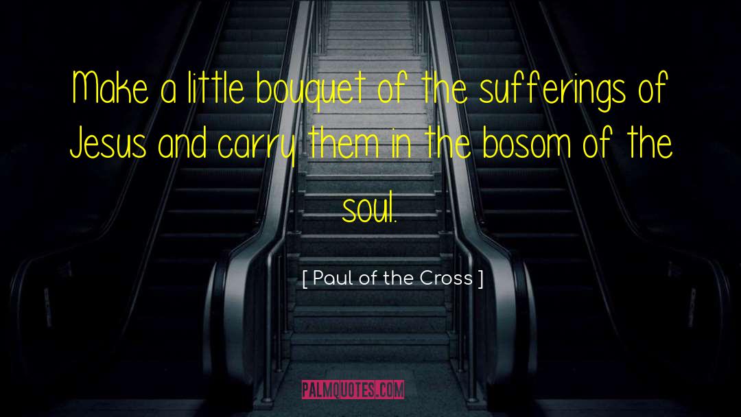 Core Of The Soul quotes by Paul Of The Cross