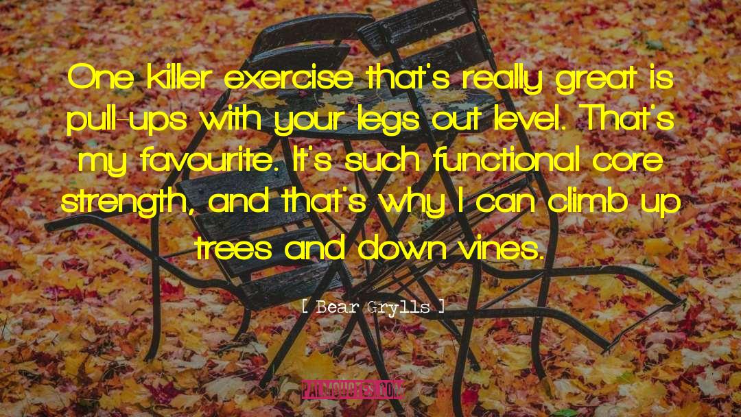 Core Strength quotes by Bear Grylls