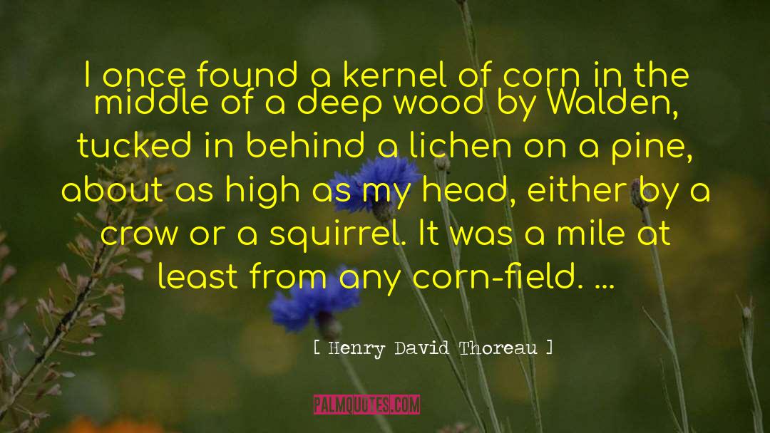 Corn Stock quotes by Henry David Thoreau