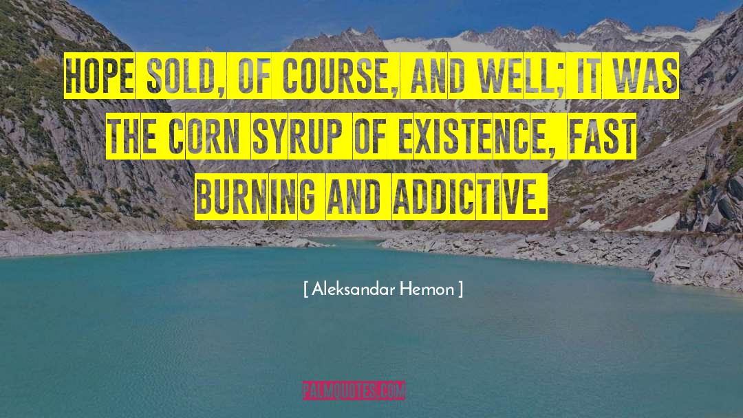 Corn Syrup quotes by Aleksandar Hemon