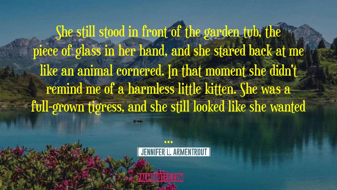 Cornered quotes by Jennifer L. Armentrout