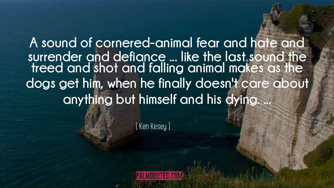 Cornered quotes by Ken Kesey