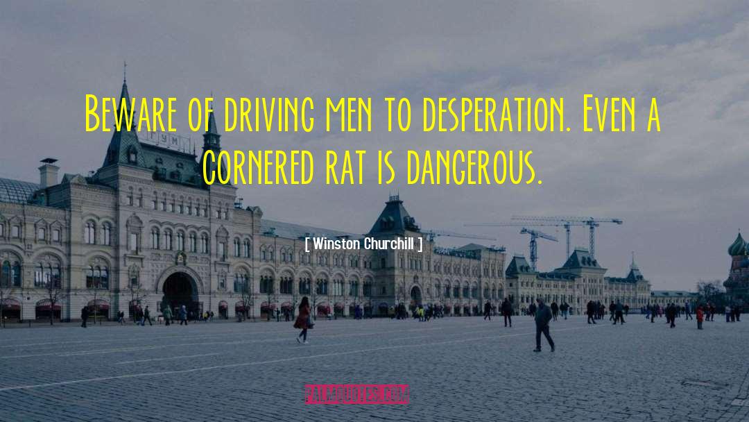 Cornered quotes by Winston Churchill