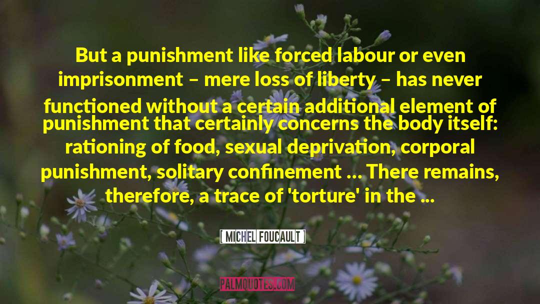 Corporal Punishment quotes by Michel Foucault