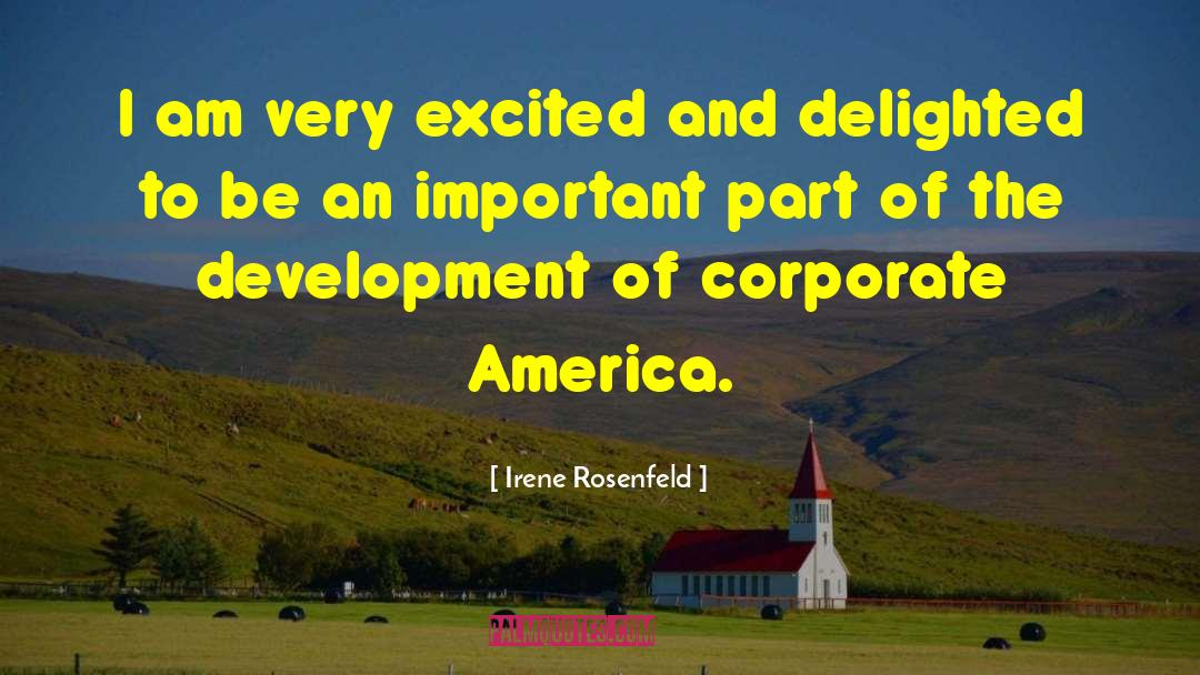 Corporate Grooming quotes by Irene Rosenfeld