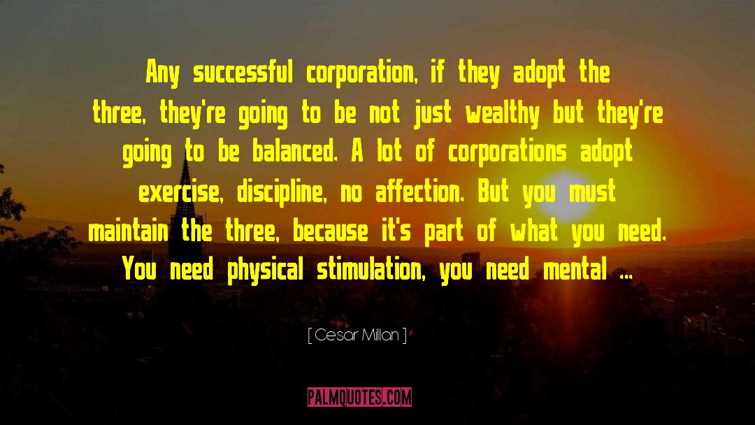 Corporation quotes by Cesar Millan