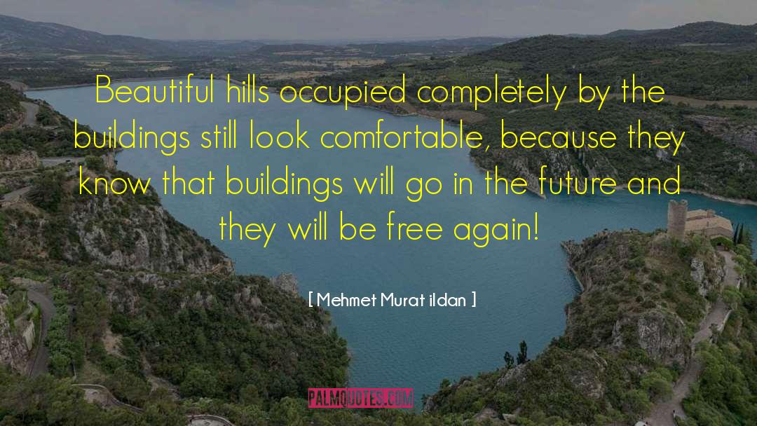 Corporative Buildings quotes by Mehmet Murat Ildan