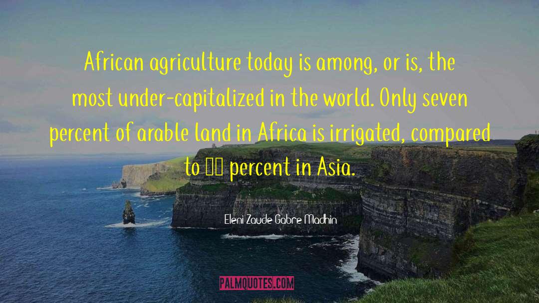 Corporatization Of Agriculture quotes by Eleni Zaude Gabre-Madhin