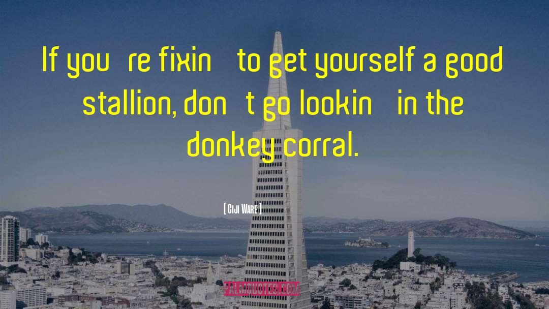 Corral quotes by Ciji Ware