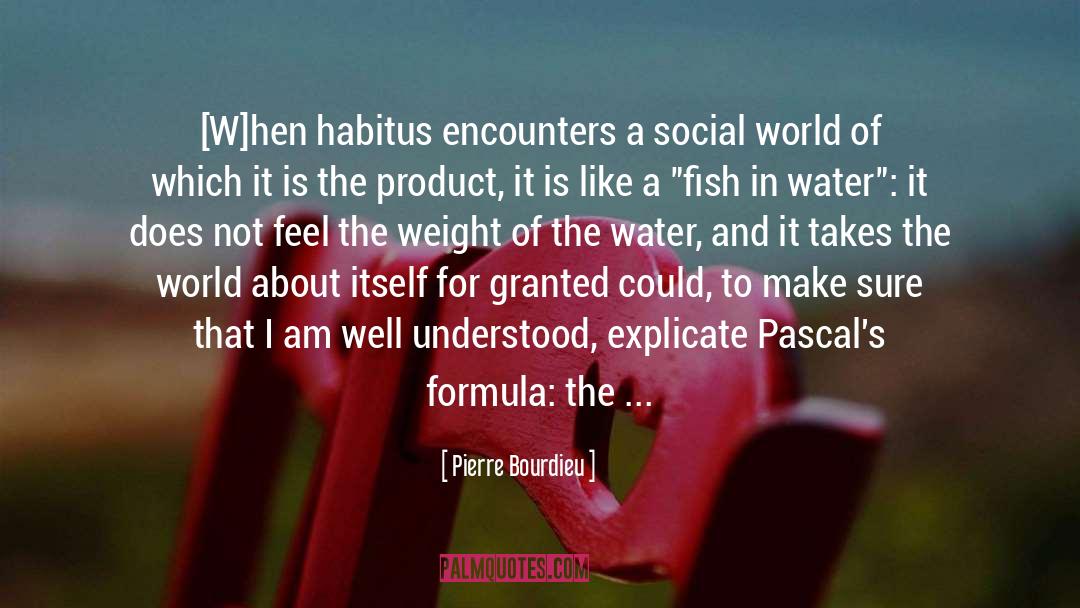 Correct Weight quotes by Pierre Bourdieu