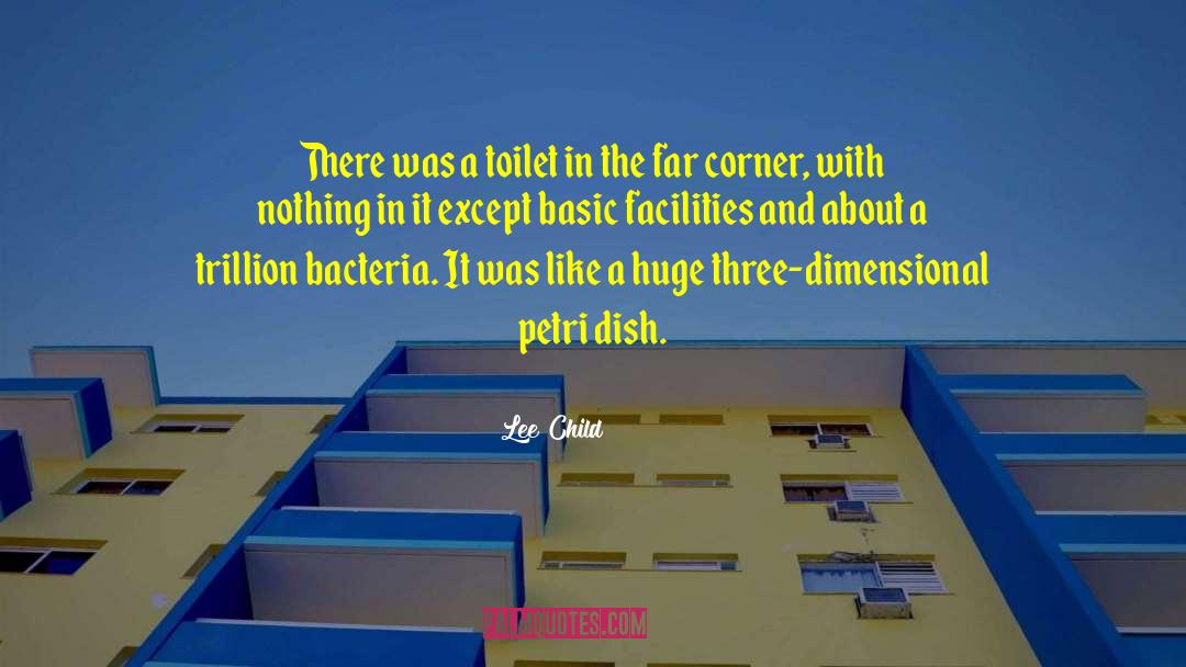 Correctional Facilities quotes by Lee Child