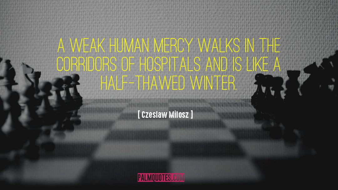 Corridors quotes by Czeslaw Milosz