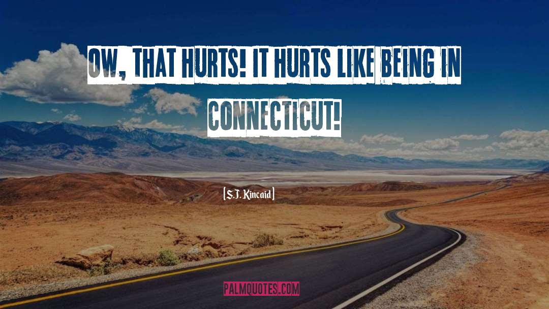 Corrs Everybody Hurts quotes by S.J. Kincaid