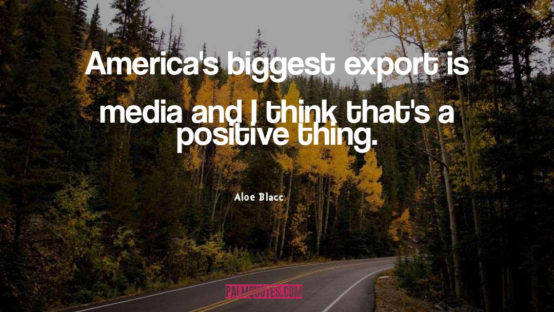 Corrupt Media quotes by Aloe Blacc