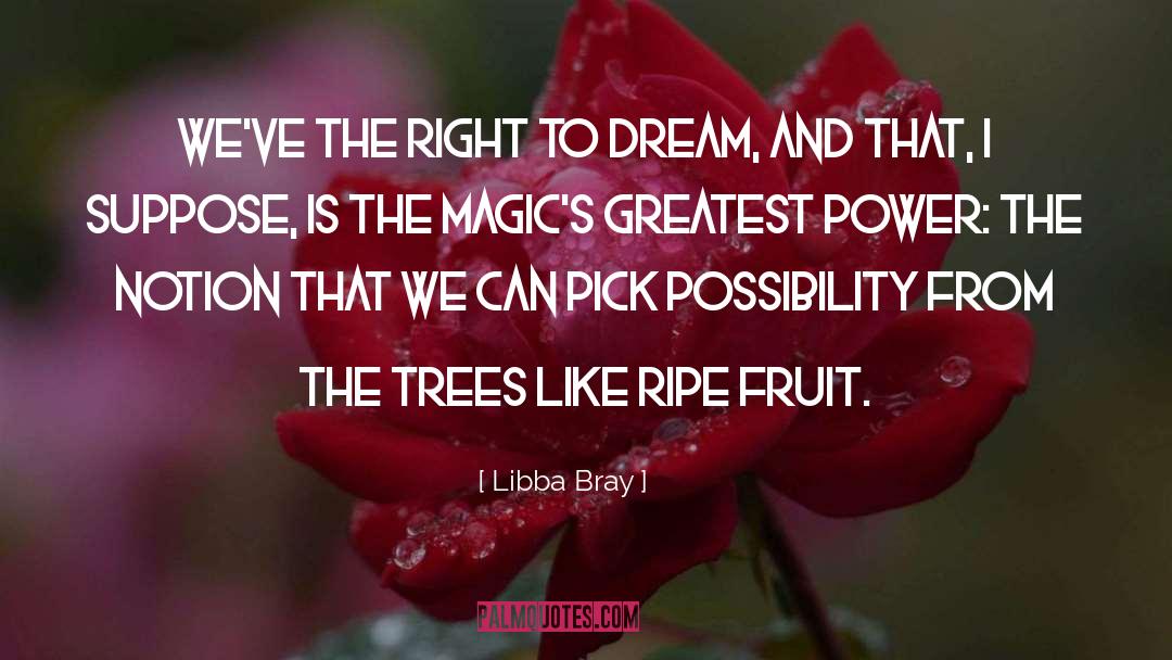 Corrupt Power quotes by Libba Bray