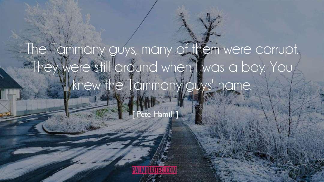 Corrupt quotes by Pete Hamill