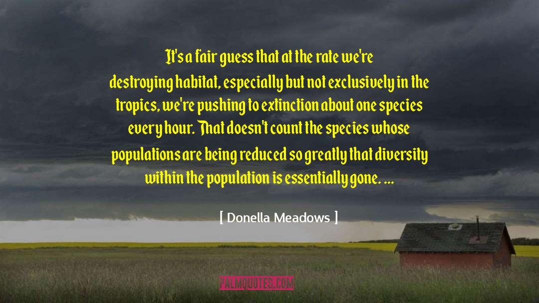 Cosmetic Diversity quotes by Donella Meadows