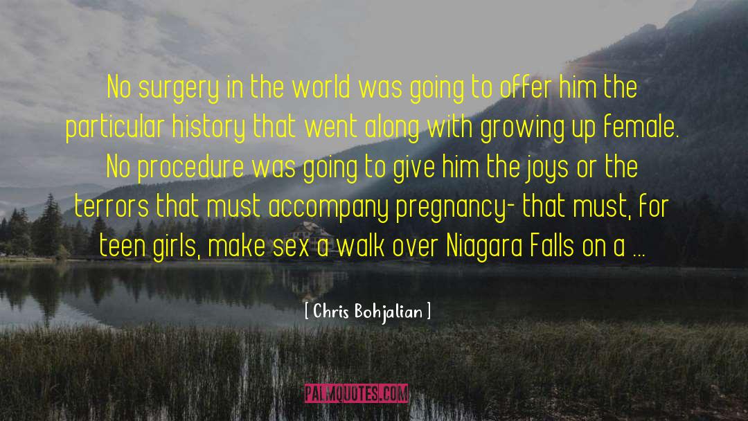 Cosmetic Surgery quotes by Chris Bohjalian