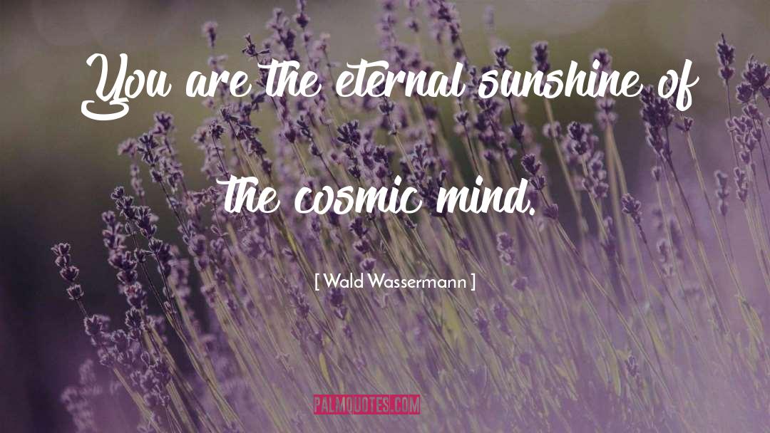 Cosmic Consciousness quotes by Wald Wassermann