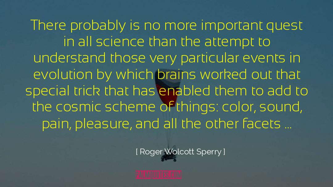 Cosmic Entanglement quotes by Roger Wolcott Sperry