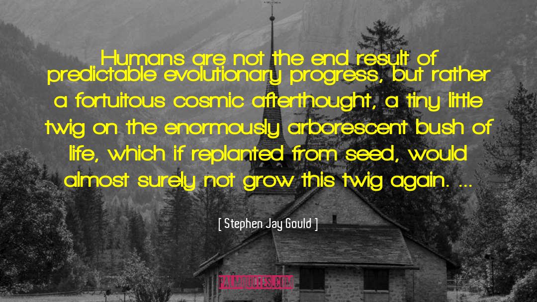 Cosmic Irony quotes by Stephen Jay Gould