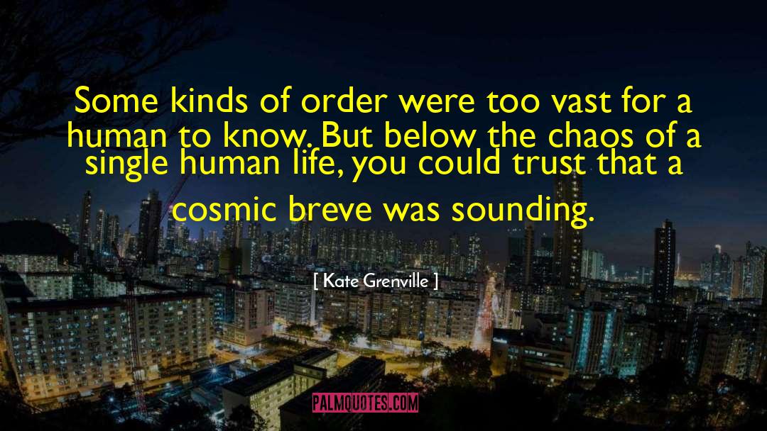 Cosmic Irony quotes by Kate Grenville
