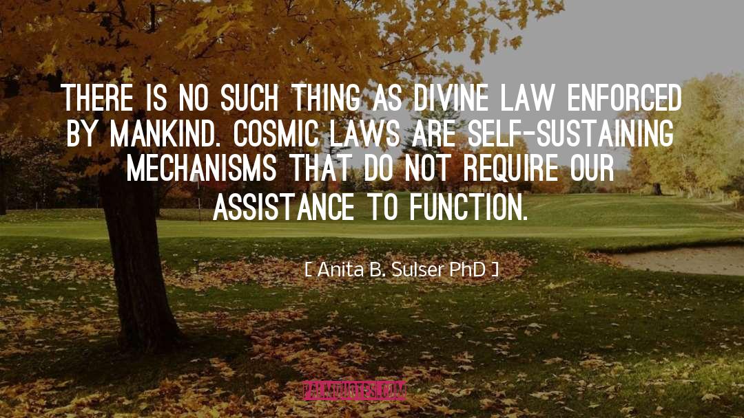 Cosmic Laws quotes by Anita B. Sulser PhD