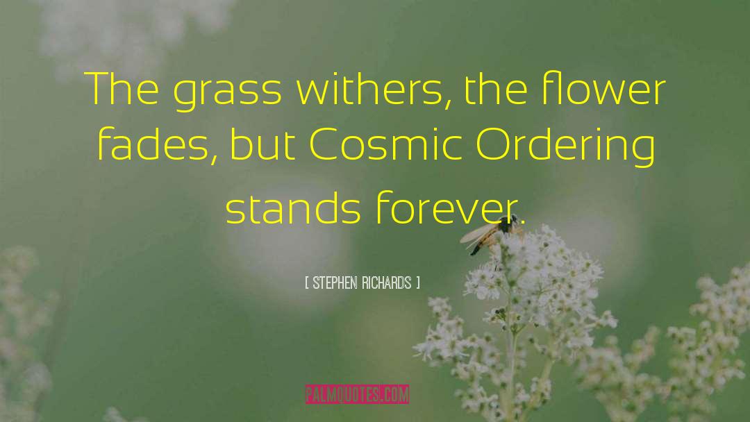 Cosmic Ordering Author quotes by Stephen Richards