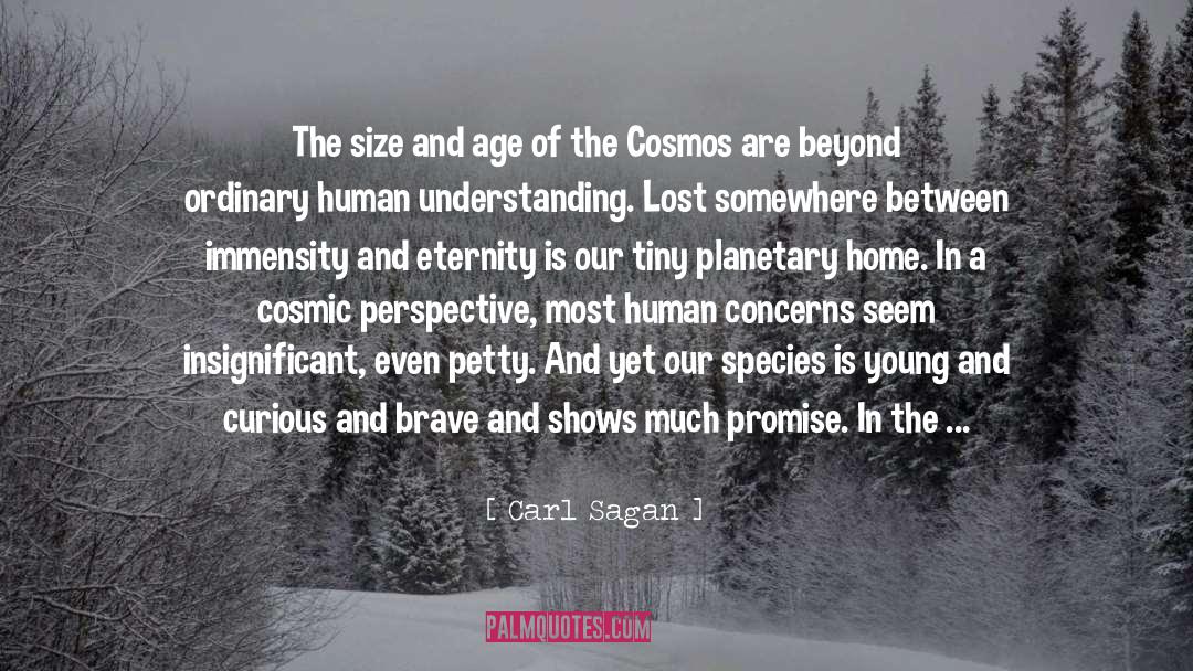 Cosmic Perspective quotes by Carl Sagan