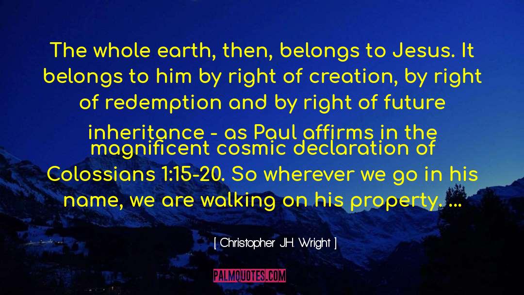 Cosmic Self quotes by Christopher J.H. Wright