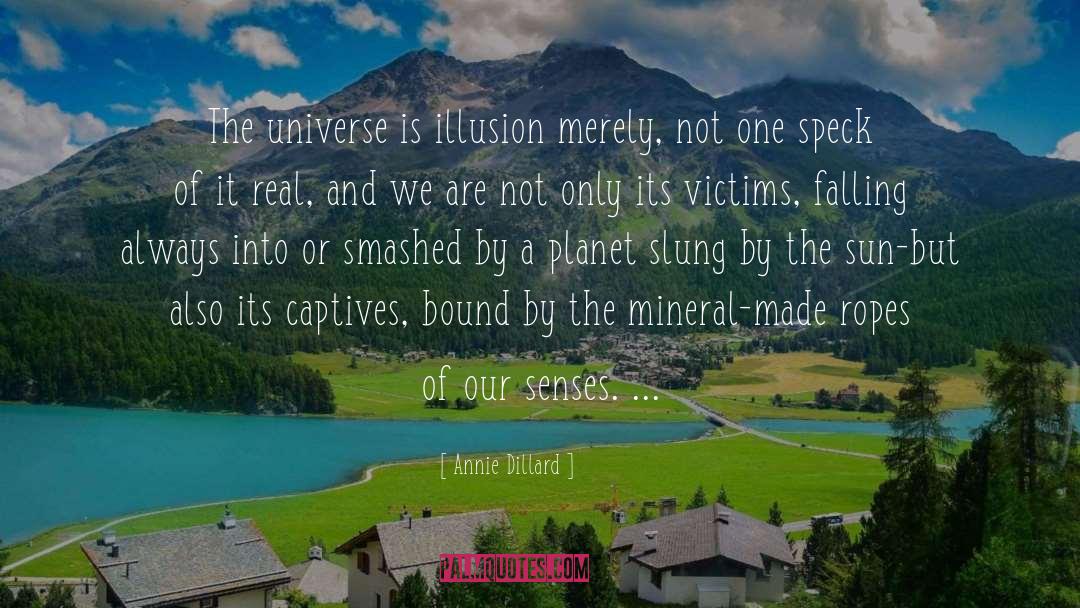 Cosmic Universe quotes by Annie Dillard