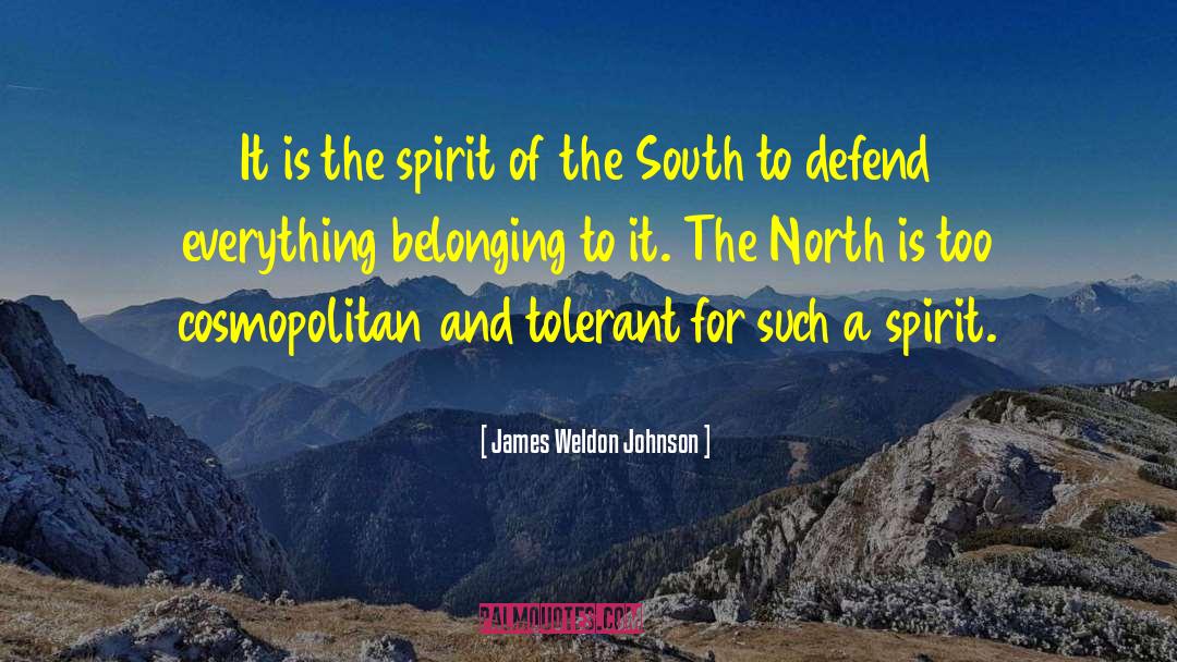 Cosmopolitan quotes by James Weldon Johnson