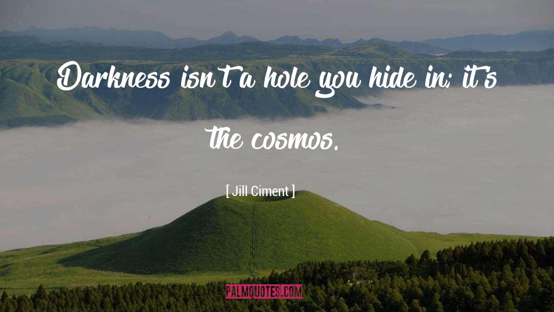 Cosmos quotes by Jill Ciment