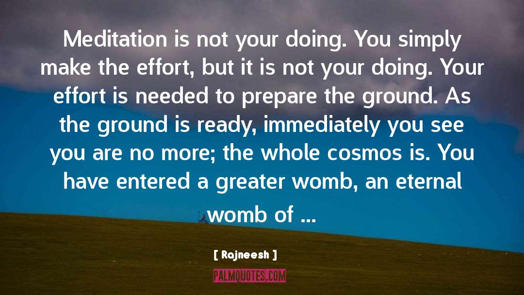 Cosmos quotes by Rajneesh