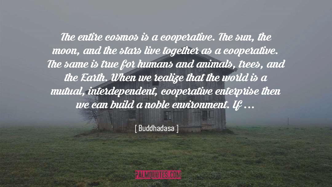 Cosmos quotes by Buddhadasa