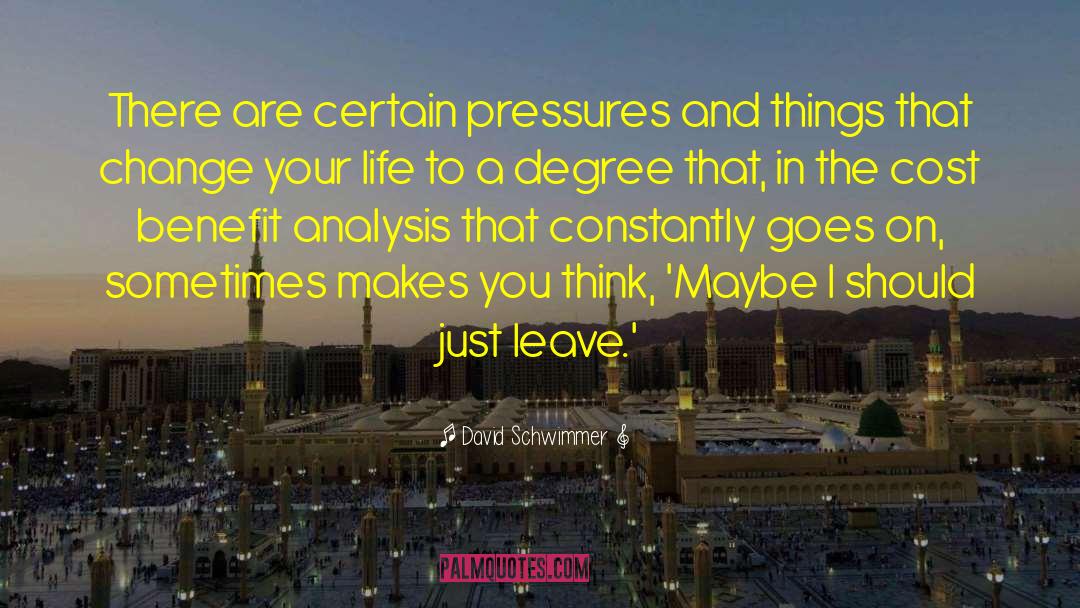 Cost Benefit Analysis quotes by David Schwimmer
