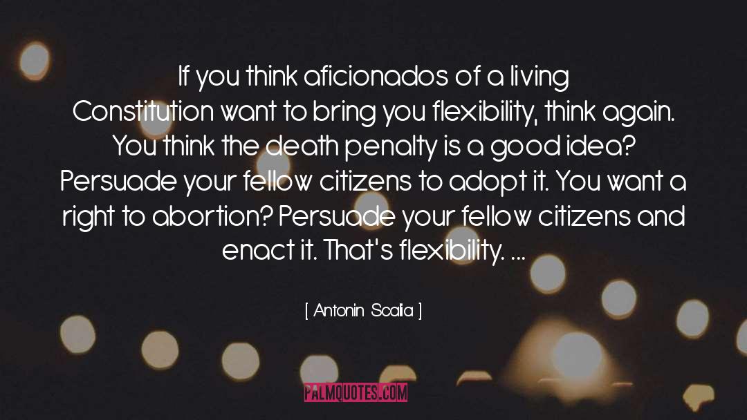 Cost Of Death Penalty quotes by Antonin Scalia