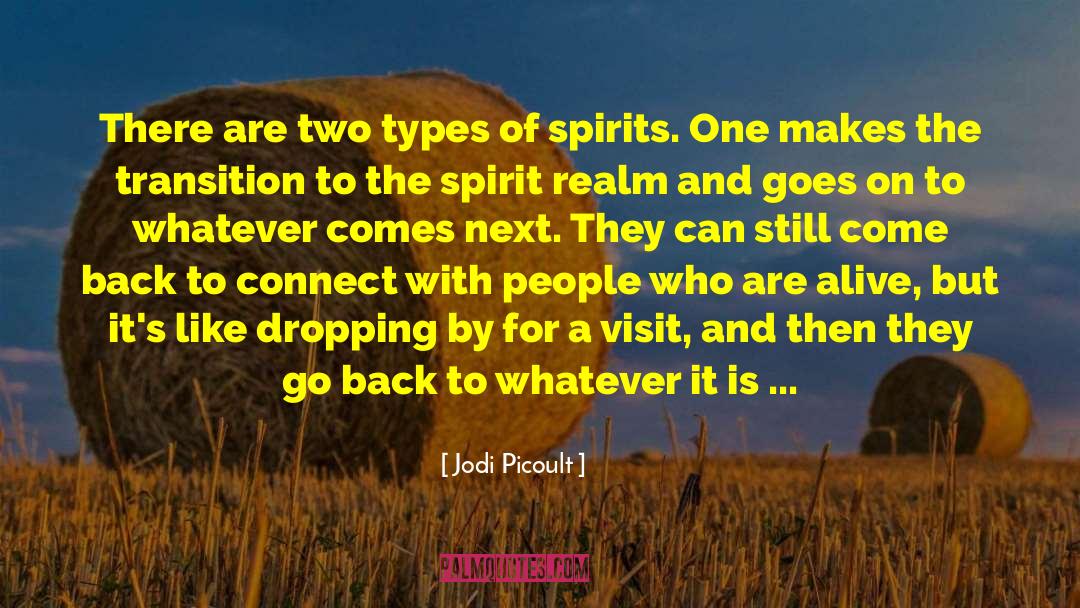 Cost Of Doing Business quotes by Jodi Picoult