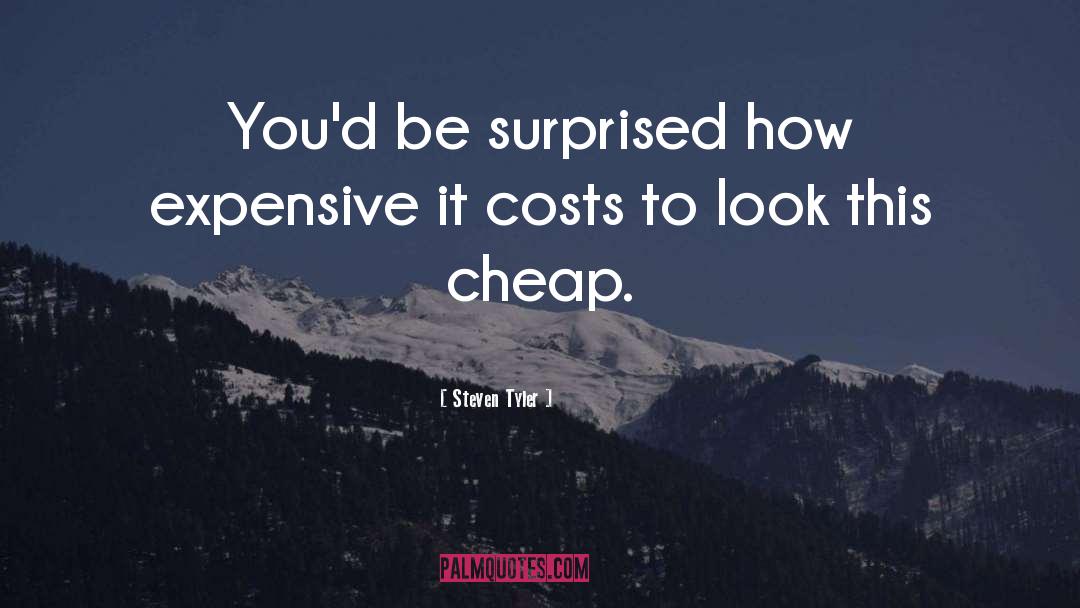 Costs quotes by Steven Tyler