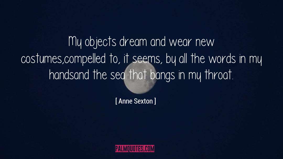 Costumes quotes by Anne Sexton