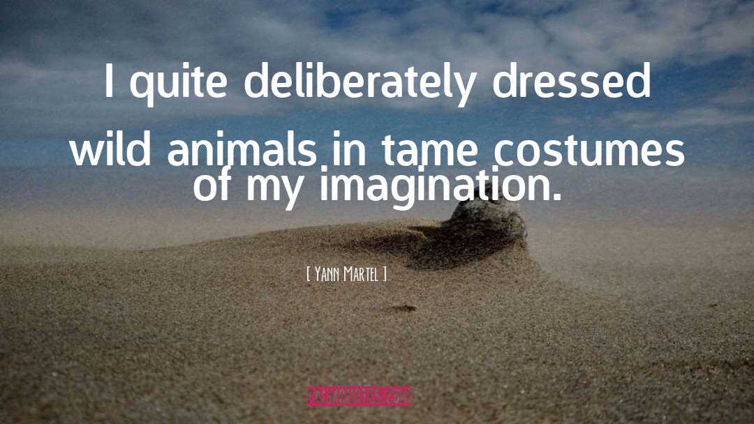 Costumes quotes by Yann Martel